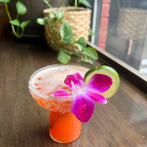 Vibrant orange cocktail with a salted rim, garnished with a lime slice and purple orchid.