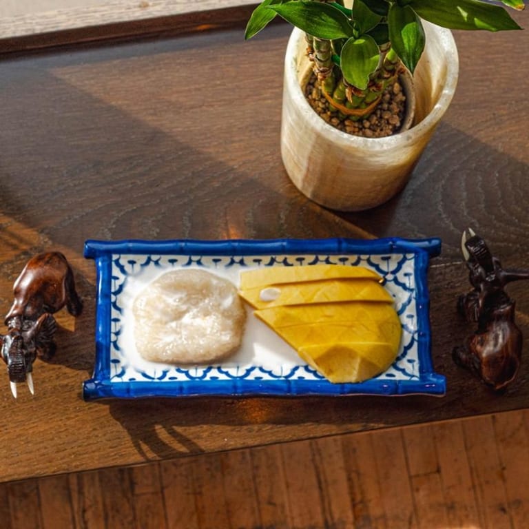 Mango Sticky Rice Delight
